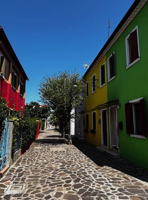 A quiet paved lane on Burano between a green house and a red house, with a single tree